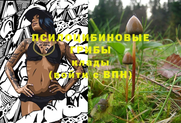 кокс Абинск