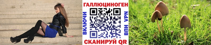 купить наркотики цена  Заводоуковск  Псилоцибиновые грибы Psilocybine cubensis 