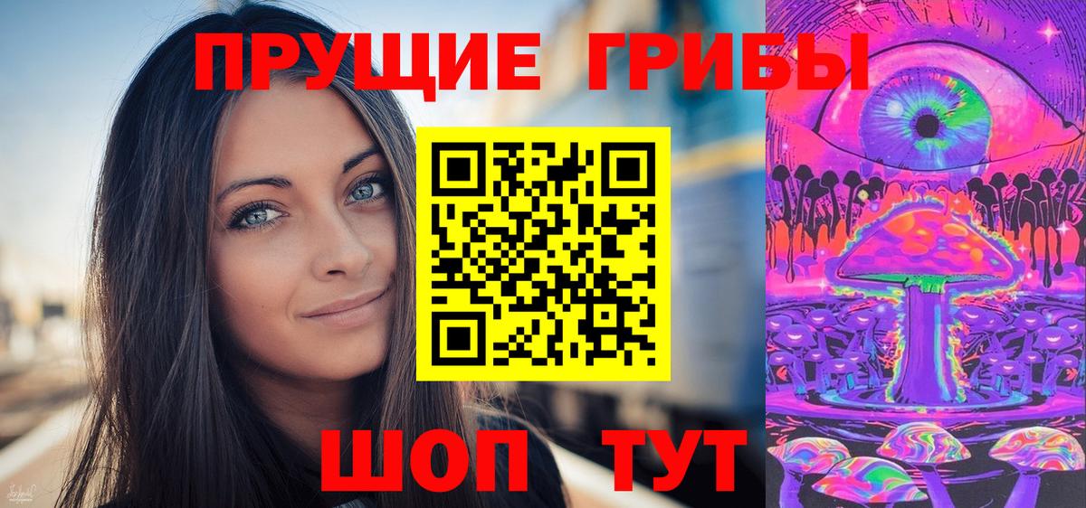 Заводоуковск  Псилоцибиновые грибы ЛСД  Вход с VPN 